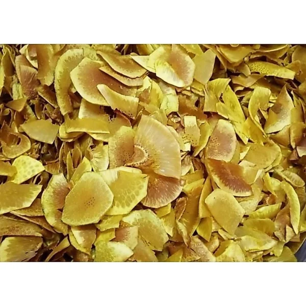 sg-11134201-82581-mq21l1fuh72kff.webp Crispy Breadfruit Chips 500g